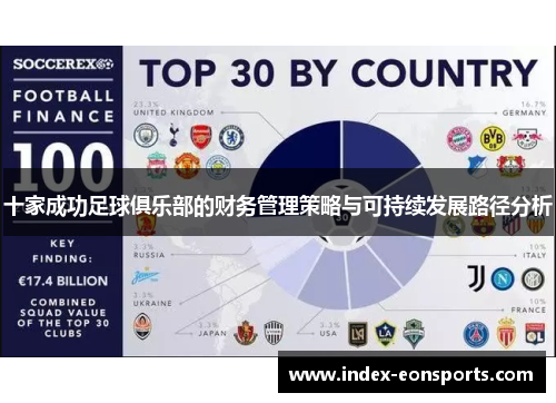 十家成功足球俱乐部的财务管理策略与可持续发展路径分析
