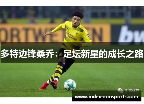 多特边锋桑乔:足坛新星的成长之路
