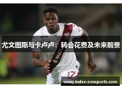 尤文图斯与卡卢卢：转会花费及未来前景