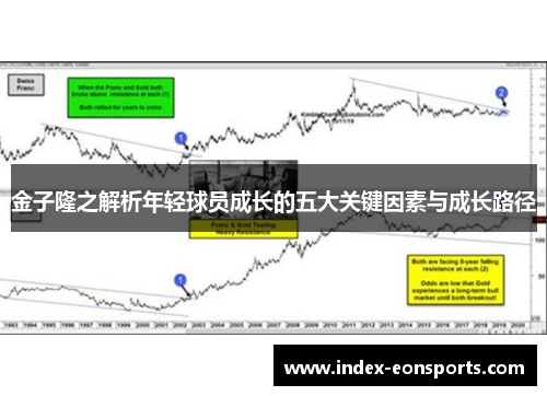 金子隆之解析年轻球员成长的五大关键因素与成长路径